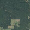 Theft reported on Fernandez Road in Apple Springs