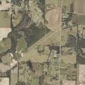 Elderly woman fallen and requesting assistance in Webb