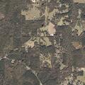Female having asthma attack in Purvis