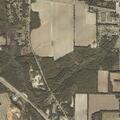 91-year-old female fallen near Private Road