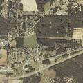 Stray dog reported near E Street in Level Plains