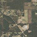 Loose cow reported near Highway 98 east
