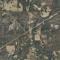 Elderly woman patient check near Watts Lane in Sumrall