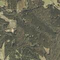 Person reported fallen at residence in Andalusia, AL