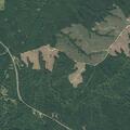 Smoke reported in woods near FM 226 address