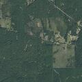 Assault and firearm threat near Forest Service Rd (number withheld) in Kennard