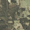 Report of attempted sexual assault near Rose Hill Road
