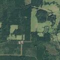 Neighbor dispute near County Road (number withheld) in Chireno