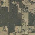 Wildland fire contained near Pleasant Grove Road