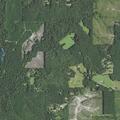 Report of a runaway juvenile near Corleyville Road