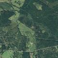 Traffic stop on Highway 21 East for wanted suspect