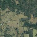 Search for missing person near FM 2022 North
