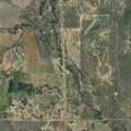 Loose calf on highway near FM 1176 and FM 1177