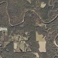 Dog attack involving multiple dogs near Blackwell Loop