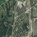 Search for older man near Walnut and Spring