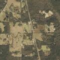 Suspicious man walking near Alabama Highway 167