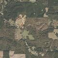 Grass fire reported on Golden Pine Road