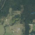 Controlled burn near roadway on Highway 21 West