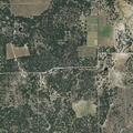 Loose calves on roadway in Zephyr