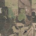 Brush fire and report of intentional burning