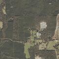 Woods fire near homes on King Road in Wesson
