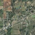 Loose cows creating road hazard near Allen Drive