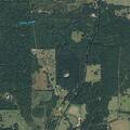 Tree limbs blocking road at FM 225 and County Road 865