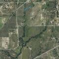 Bull loose near east US 377 in blanket, TX