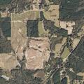 80-year-old woman with chest pains near Mt Olive