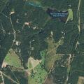 iPhone crash alert on County Road 166