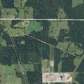 Tree blocking road near Cushing paint plant