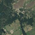 Car strikes tree on County Road 2214