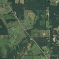 Grass fire spreading into trees on County Road 414