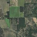 Controlled brush fire on County Road 405