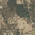 82-year-old male disoriented near County Road 619