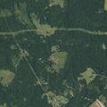 Grass fire in pasture near County Road 2405