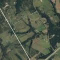 Injured dog reported near county line