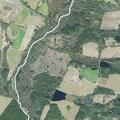Person with abdominal pain near Glennville