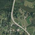 Sheep loose in roadway near Richland gas station