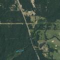 Single-car crash into tree on County Road 456