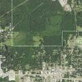 Mental evaluation requested near Oak Ridge Avenue