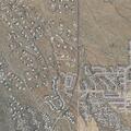 Desert animal relocation at South Orchid Flower Trail