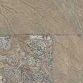 Desert animal relocation at Sunny Rock Drive