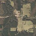 Cow loose off roadway on County Road 23