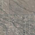 Desert animal relocation at Petrified Forest Drive