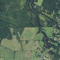 Tire reported in roadway on FM 225 near Laneville