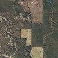 Woman feels dizzy and clammy near Co Rd 1686