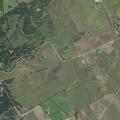Animal complaint near County Road (number withheld) in Hico