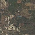 Cow reported in roadway near County Road 22