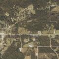 Reported assault near Rayfield St in Union Springs
